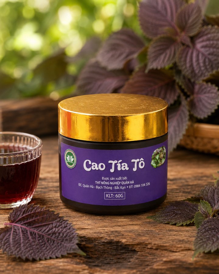 Cao tía tô
