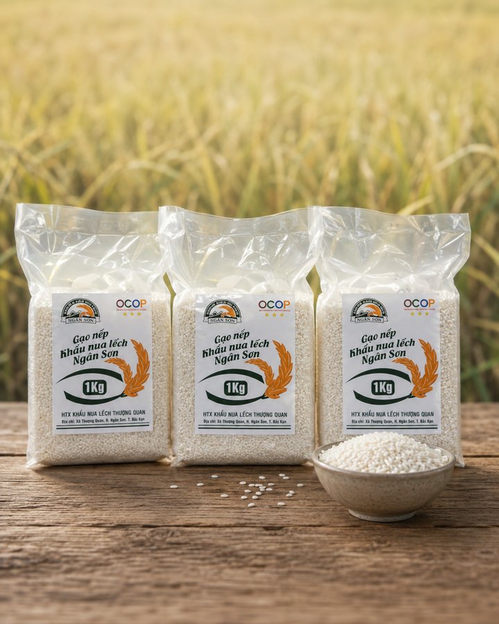 Gạo nếp Khẩu Nua Lếch